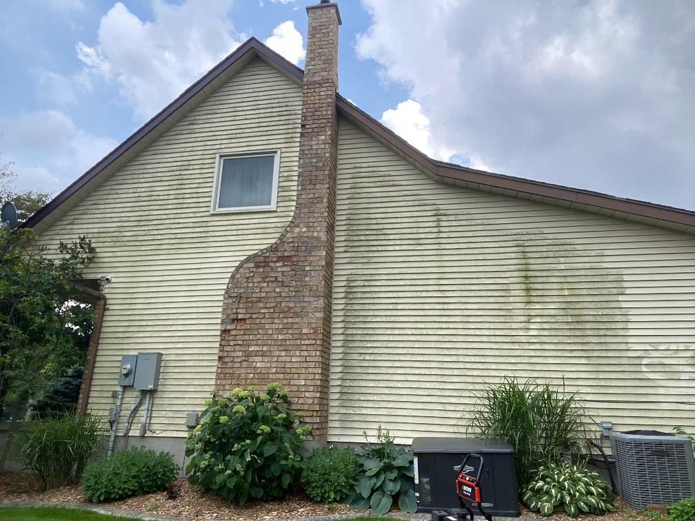 Pressure Washing Before