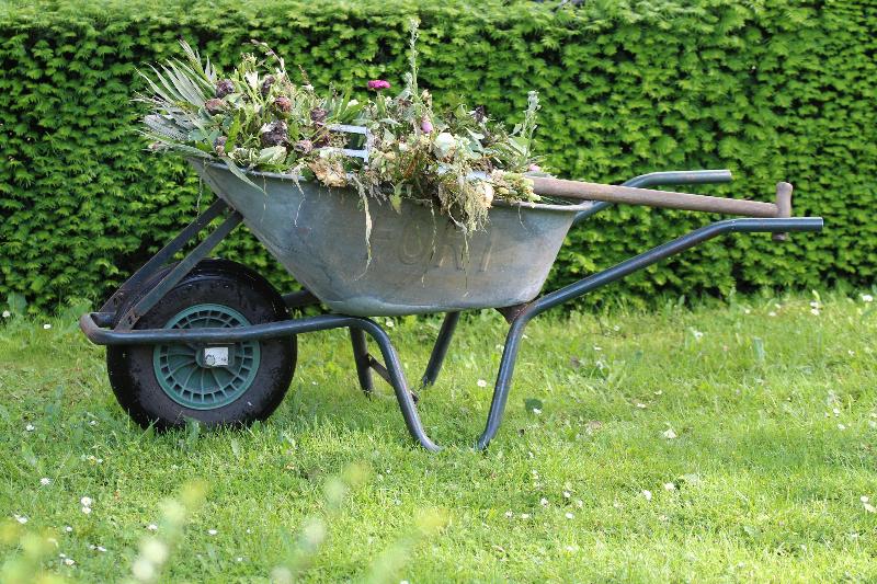 Seasonal Cleanups