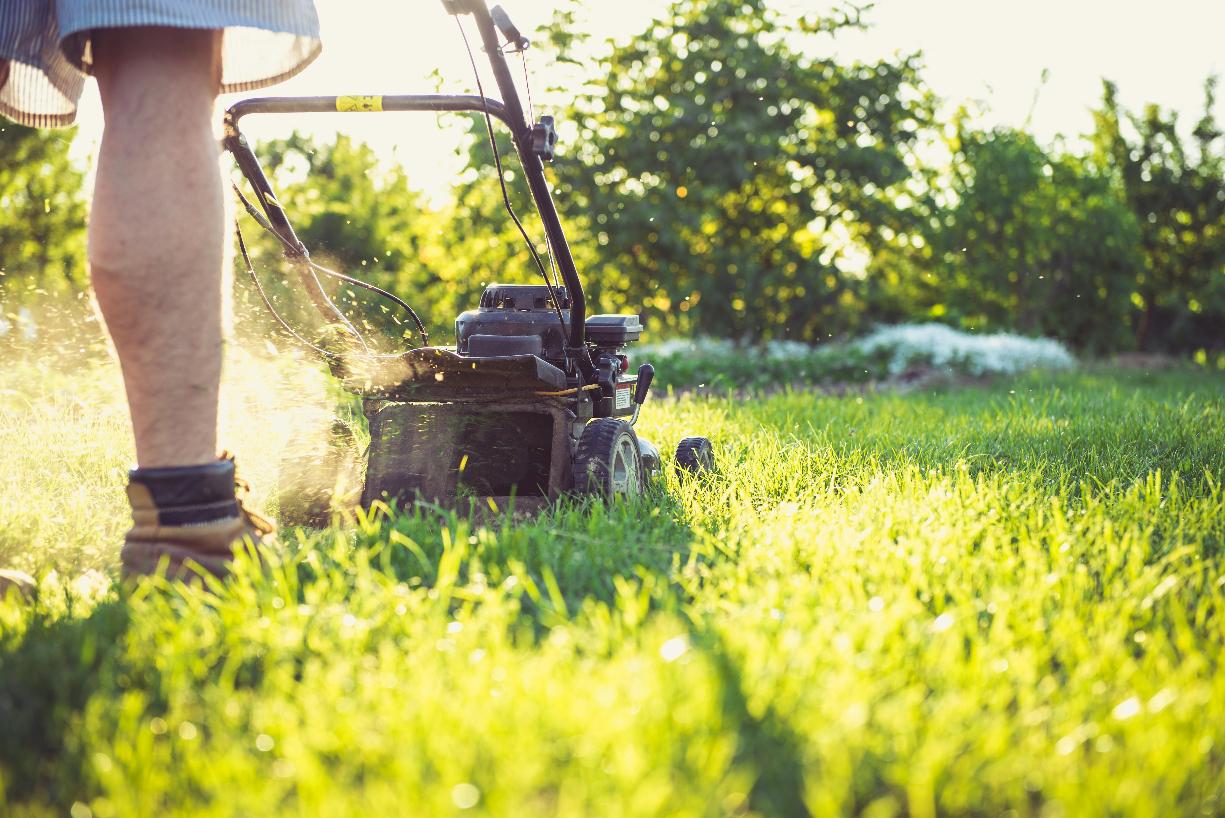 Weekly Mowing