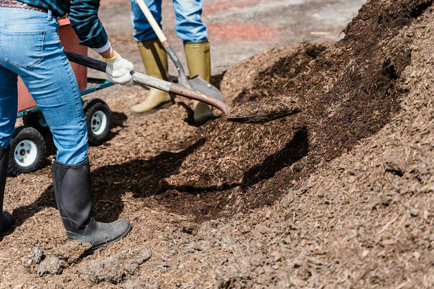 Mulching