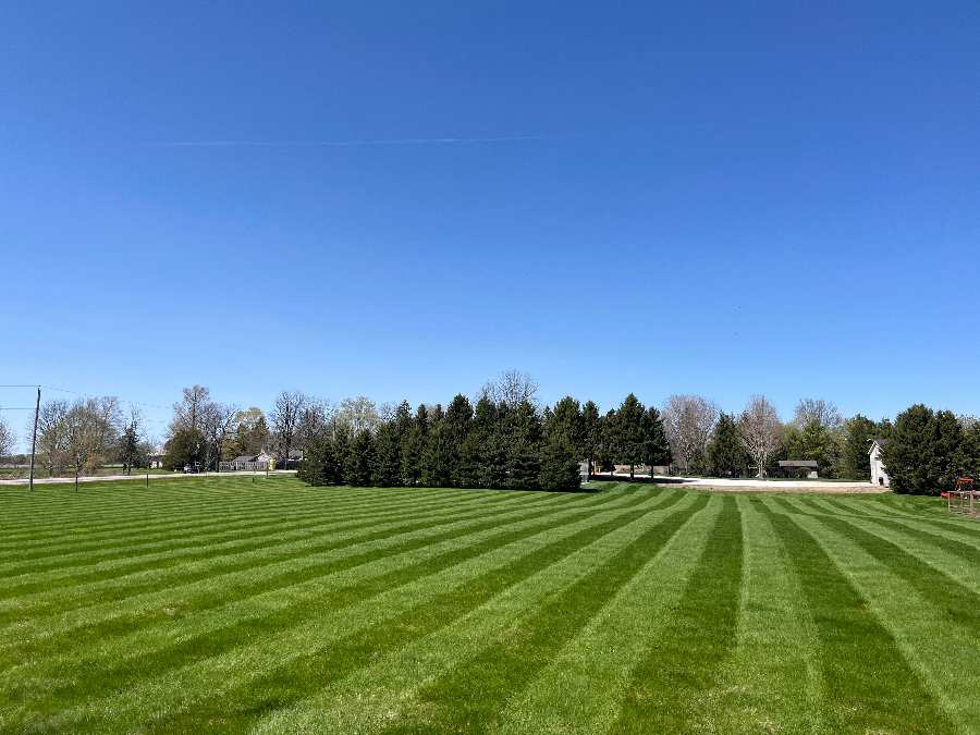 Lawn Rolling