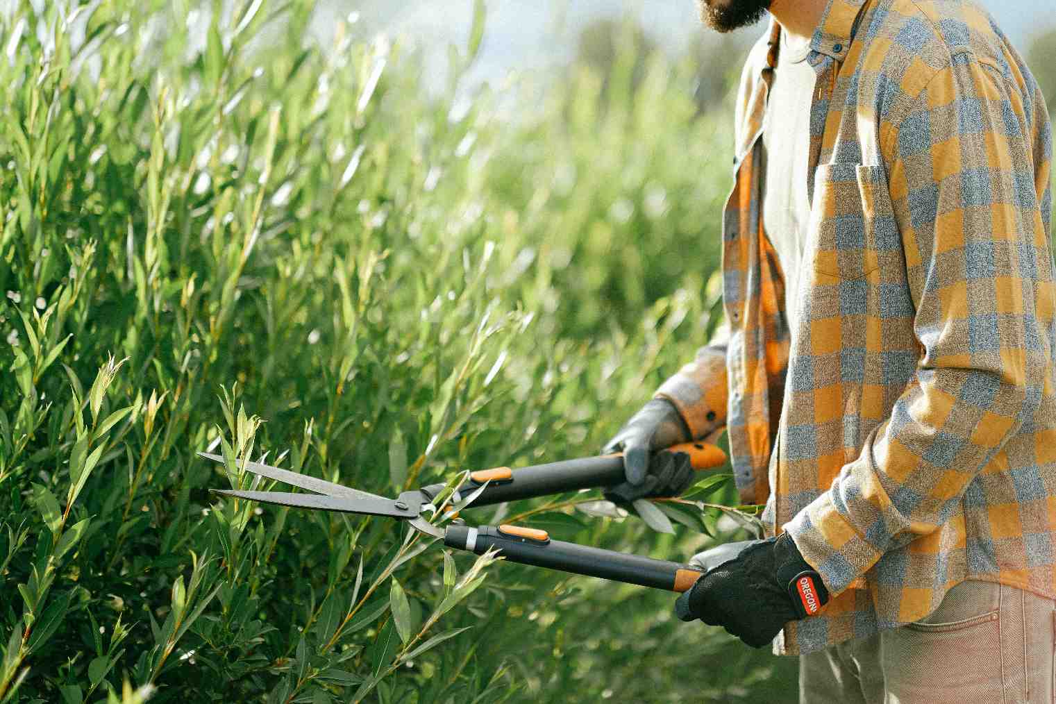 Trimming & Edging